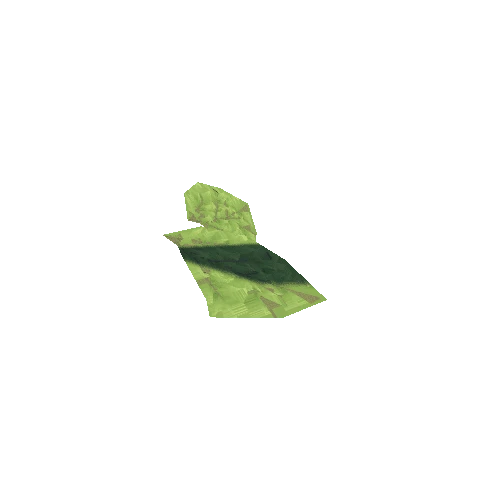 BambooLeaf