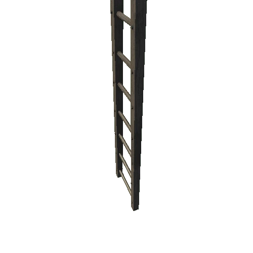 ladder