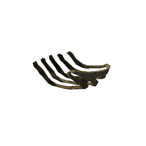 Skeleton_Ribs_02