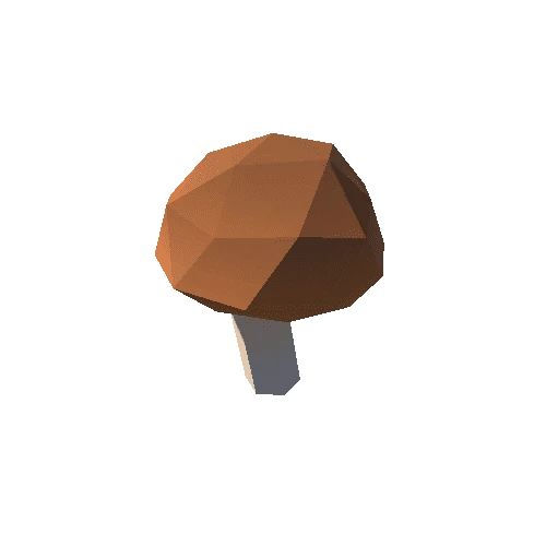 mushroom_01_02