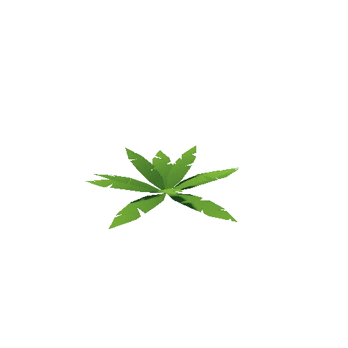 plant_01