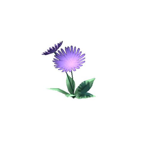 Flower2_8