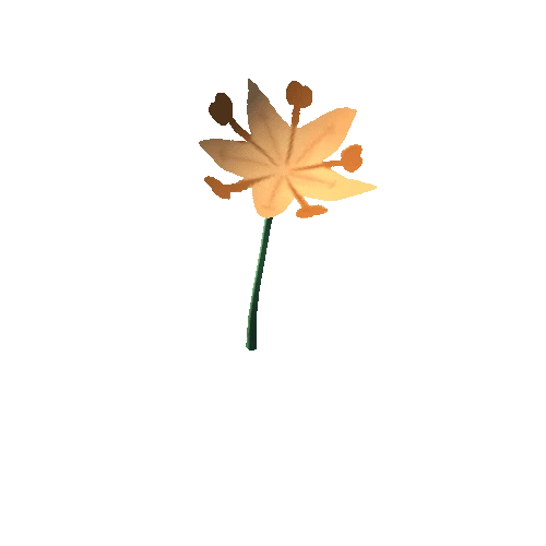 Flower_5
