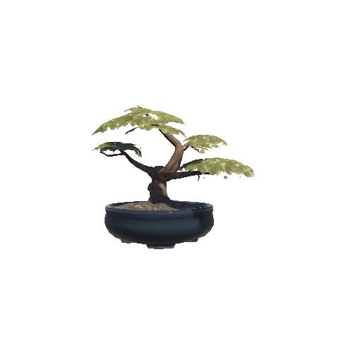 Bonsai