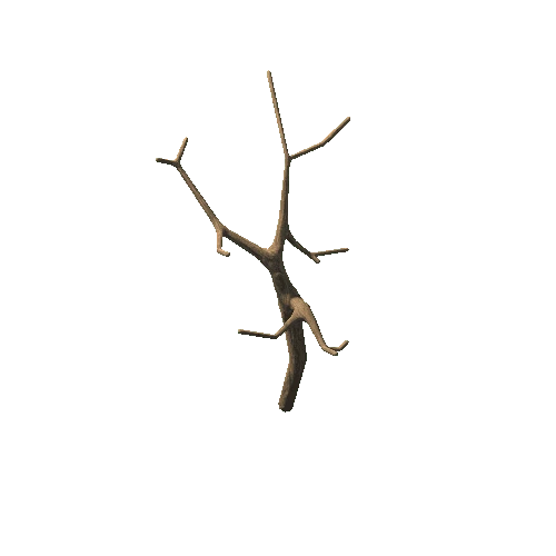 Tree02