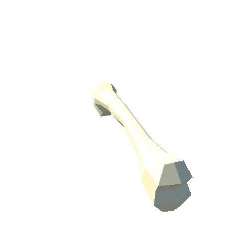 Bone_02