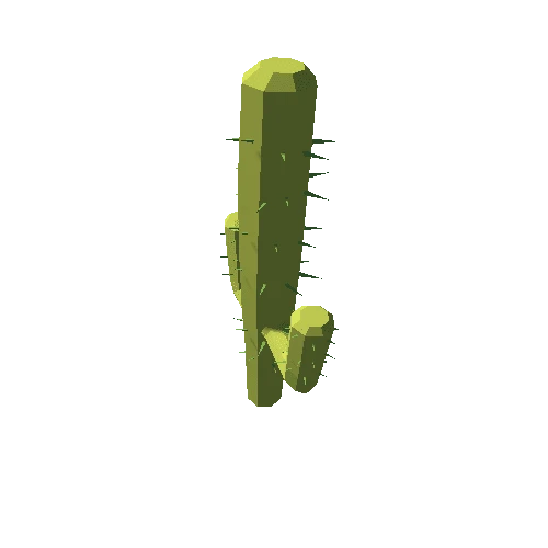 Cactus_01