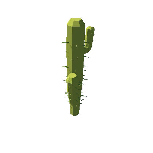 Cactus_02
