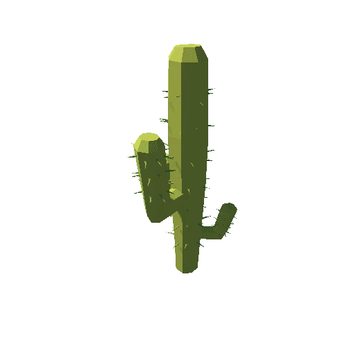 Cactus_04