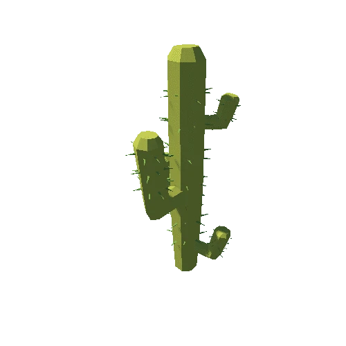 Cactus_05