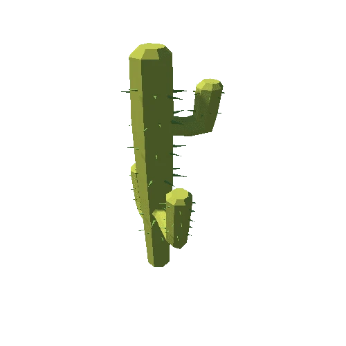 Cactus_07