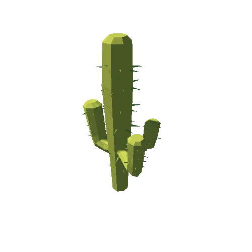 Cactus_08