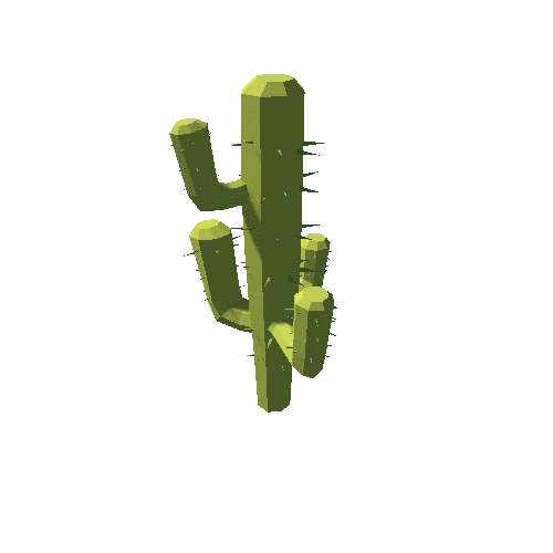 Cactus_09