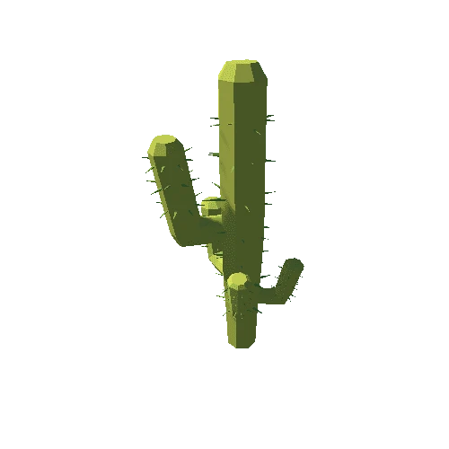 Cactus_10