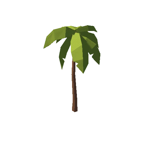 CoconutTree_01
