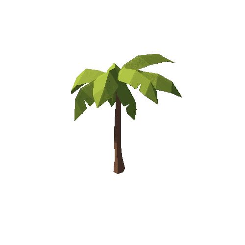 CoconutTree_05