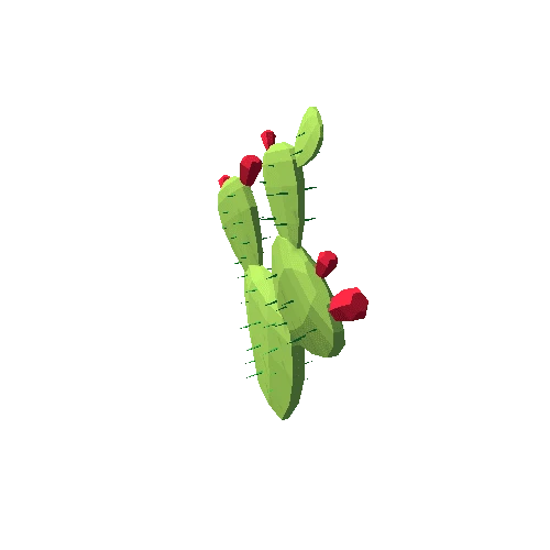 FlatCactus_03