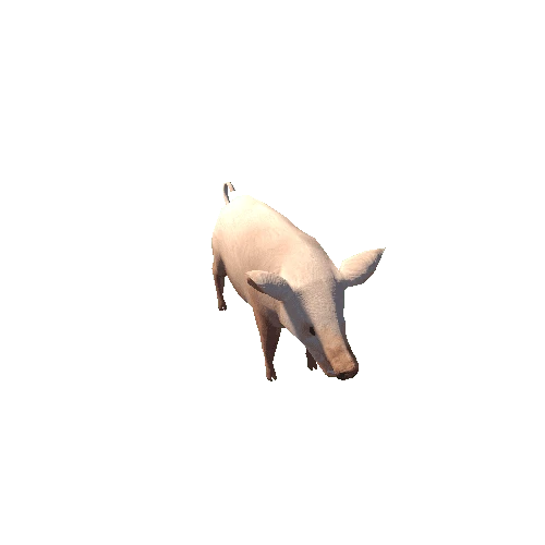 PigLowPoly