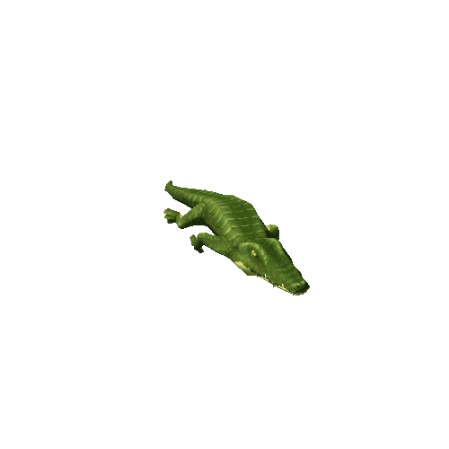 alligator_swim_fast