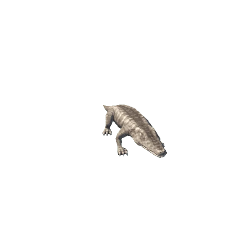 alligator_white_camouflage