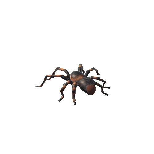 tarantula