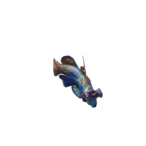 Mandarin_fish