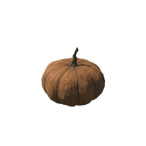 Pumpkin1_texture3