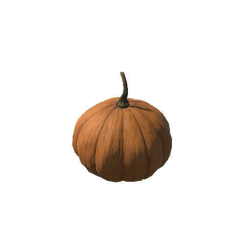 Pumpkin3_texture2