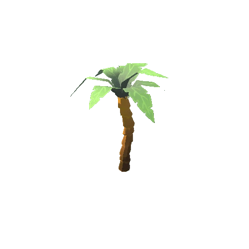 palm4_01