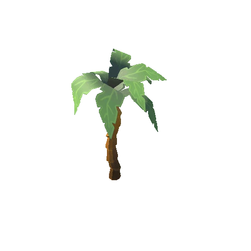 palm4_02