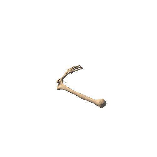 HumanRemains_Clean_Part_05