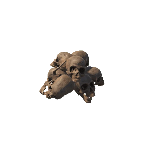 HumanRemains_Old_Pile_05