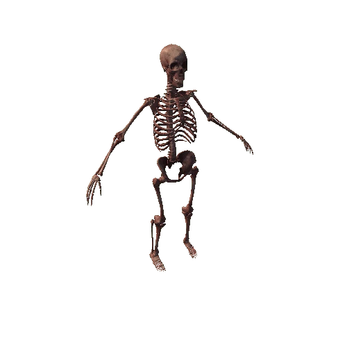 HumanSkeleton_Bloody