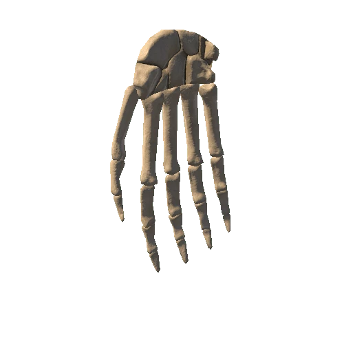 HumanSkeleton_Hand_Left
