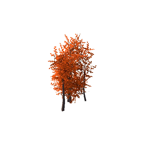 Bush_A_Autumn_1