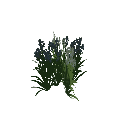 Grass_5_Mesh