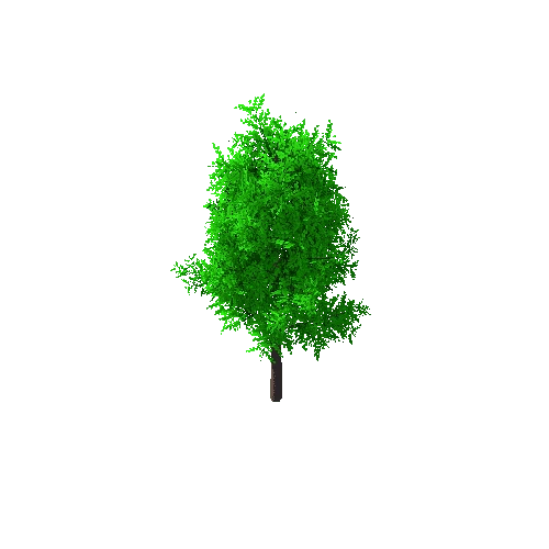 Tree_A_1