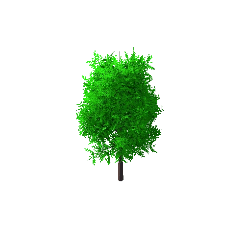 Tree_A_2