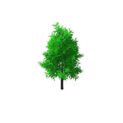 Tree_A_3