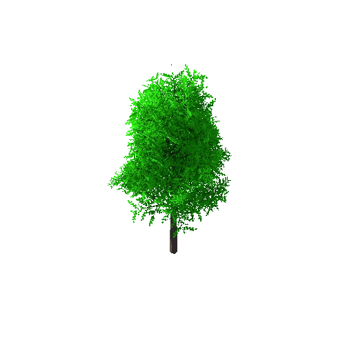 Tree_A_6