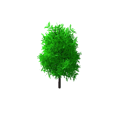 Tree_A_7