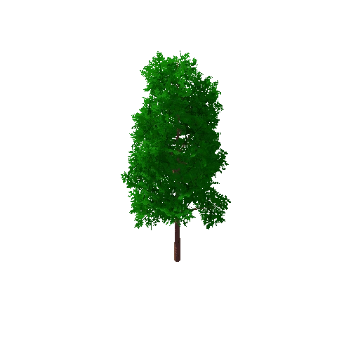 Tree_B_2