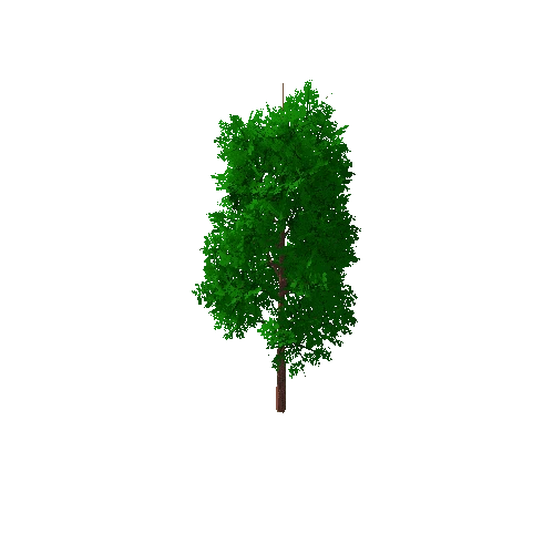 Tree_B_4