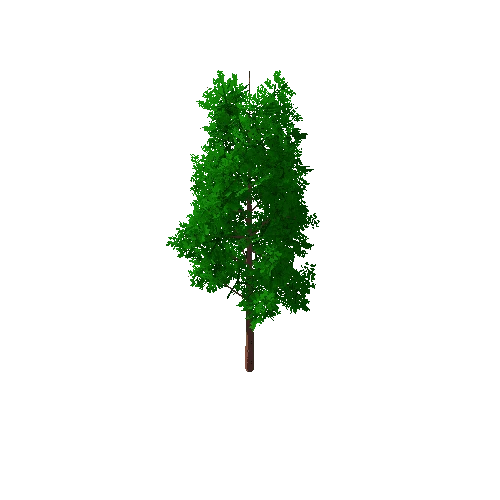 Tree_B_5