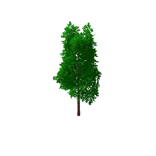 Tree_B_6