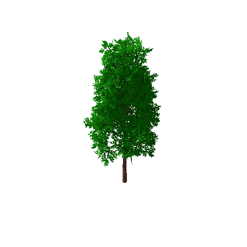 Tree_B_7