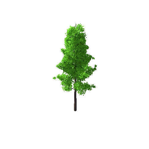 Tree_C_8