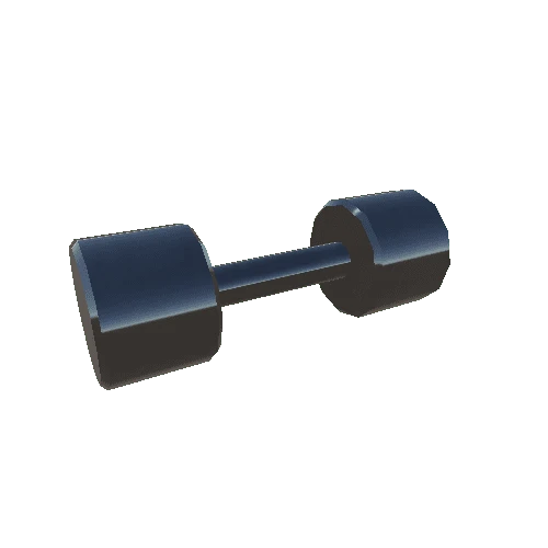 SM_ChromeDumbbell10kg