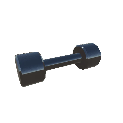 SM_ChromeDumbbell5kg