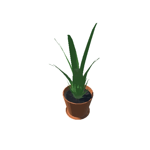 plant